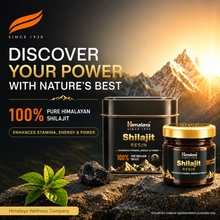 Himalaya shilajit gyanta 20 g