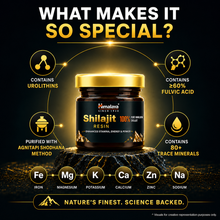 Himalaya shilajit gyanta 20 g