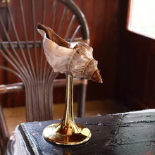 Natural conch stemmed wine glass with shell-inspired coastal design