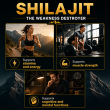 Himalaya shilajit gyanta 20 g