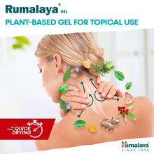 Himalaya Rumalaya pain relief gel 50g tube
