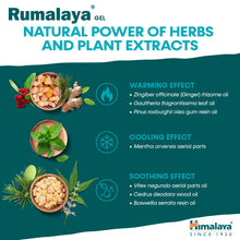 Himalaya Rumalaya pain relief gel 50g tube