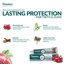 Himalaya Neem and Pomegranate Dental Cream herbal toothpaste 100g