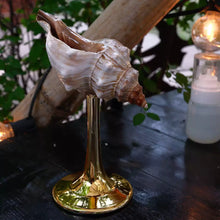 Natural conch stemmed wine glass with shell-inspired coastal design