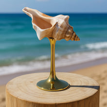 Natural conch stemmed wine glass with shell-inspired coastal design