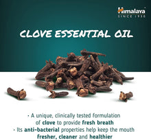 Himalaya Clove Ayurvedic Dental Cream herbal toothpaste 100g