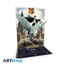 Harry Potter akril dioráma figura Harryvel és Csikócsőrrel