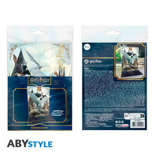 Harry Potter akril dioráma figura Harryvel és Csikócsőrrel