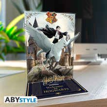 Harry Potter akril dioráma figura Harryvel és Csikócsőrrel