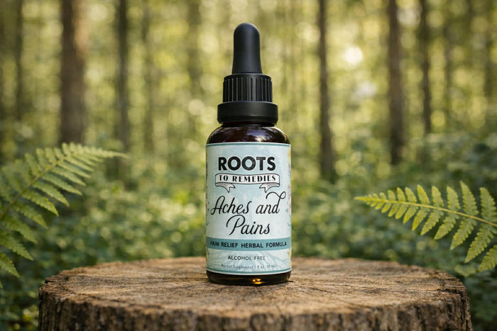 Aches & Pains Herbal Extract bottle for everyday comfort support