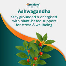 Himalaya Ashvagandha Stress Wellness Tablets 60 pack bottle