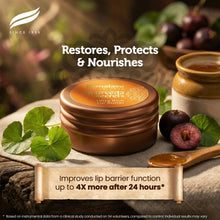 Himalaya Ultra Rich Lip Butter 8.5g jar for dry and chapped lips