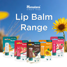 Himalaya Sun Protect Lip Balm SPF 50 4.5g stick