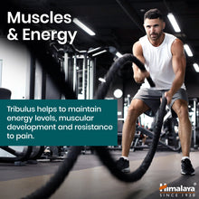 Himalaya Organic Tribulus Gokshura 60 caplets supplement bottle