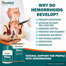 Himalaya Pilex herbal food supplement tablets, 100 count pack