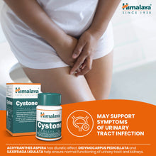 Himalaya Cystone 100 tablets for kidney and urinary tract support