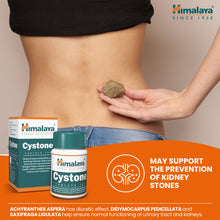 Himalaya Cystone 100 tablets for kidney and urinary tract support