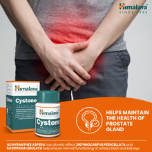 Himalaya Cystone 100 tablets for kidney and urinary tract support