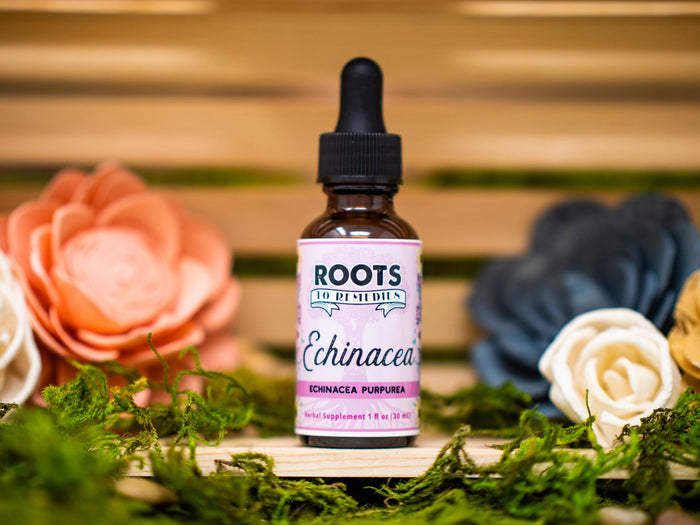 1 oz bottle of echinacea herbal extract