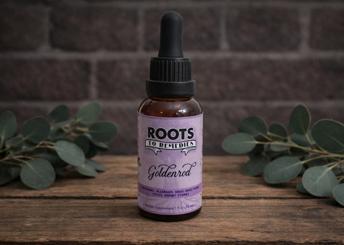Goldenrod herbal tincture in 1 oz bottle