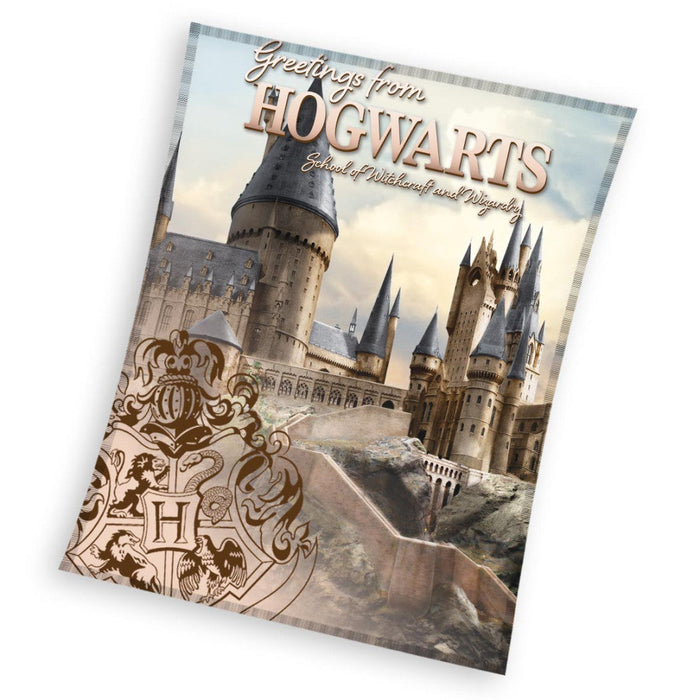 Harry Potter Hogwarts coral fleece takaró 130 × 160 cm