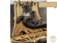 Taupe cat hammock with wooden stand for a cosy raised pet bed