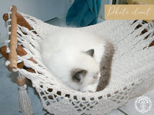 Ecru cat hammock with wooden stand for indoor cats