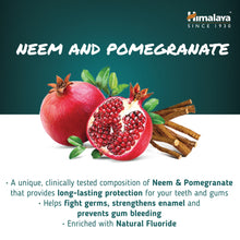 Himalaya Neem and Pomegranate Dental Cream herbal toothpaste 100g