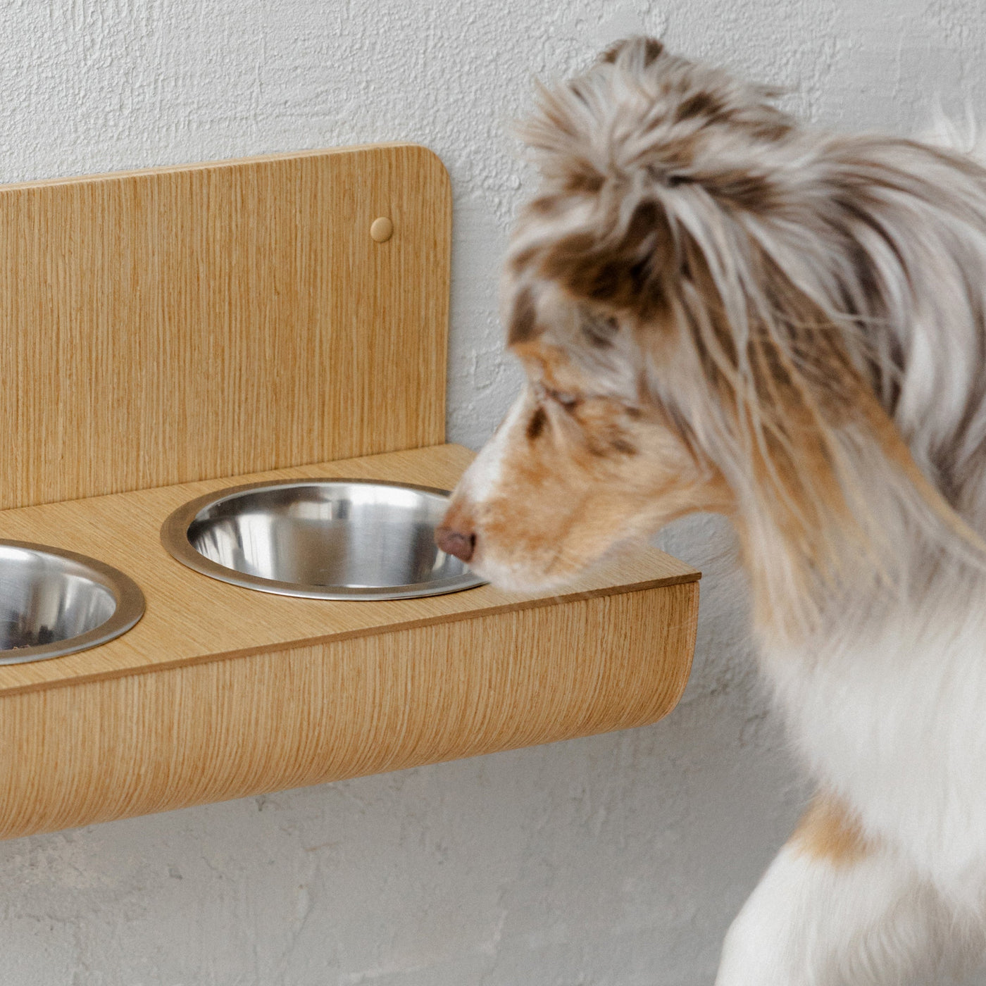 Wall-mounted oak wooden dog feeder with two stainless steel bowls