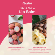 Himalaya Litchi Shine Lip Balm 4.5g stick for soft, glossy lips