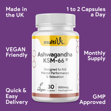 Ashwagandha KSM-66® Supplement-2
