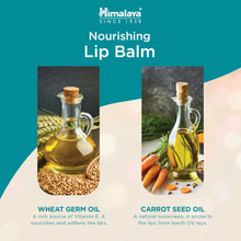 Himalaya Nourishing Lip Balm 4.5g stick for dry and chapped lips