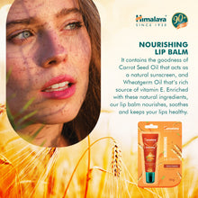 Himalaya Nourishing Lip Balm 10g tube for dry and chapped lips