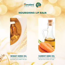 Himalaya Nourishing Lip Balm 10g tube for dry and chapped lips
