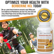 Nutriop® Bio-Enhanced Berberine HCL 865mg - Dual-Source Metabolic AMPK Activator (90 Capsules)-4