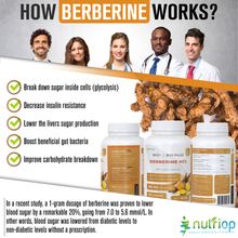 Nutriop® Bio-Enhanced Berberine HCL 865mg - Dual-Source Metabolic AMPK Activator (90 Capsules)-2