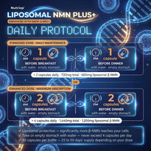 Nutriop® Max Strength Liposomal NMN PLUS+: Advanced Absorption NAD+ Complex (50 Capsules)-3