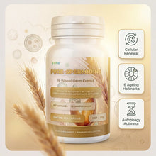 Nutriop® Pure Spermidine 10mg — Advanced Autophagy Activator (60 Capsules)-3