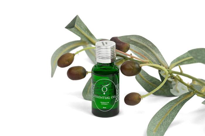 Rózsa muskátli illóolaj 20 ml-es üvegben