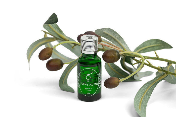 Citromillatú teafa illóolaj 20 ml-es üvegben