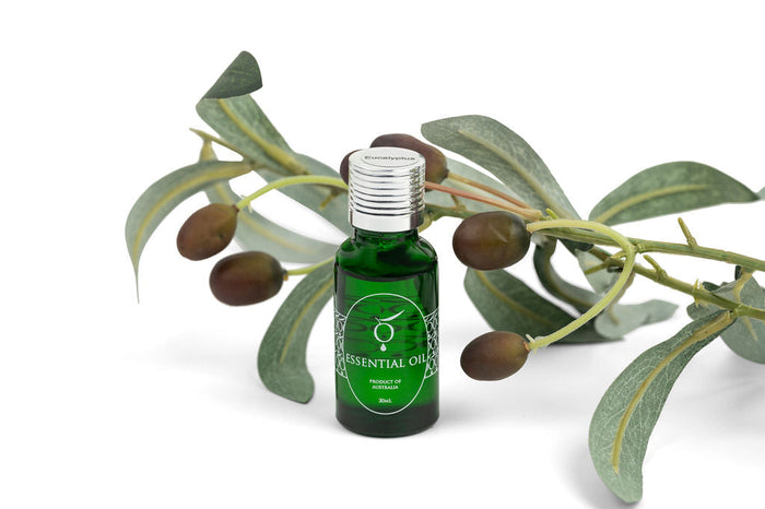 Blue Mallee eukaliptusz illóolaj 20 ml-es üvegben