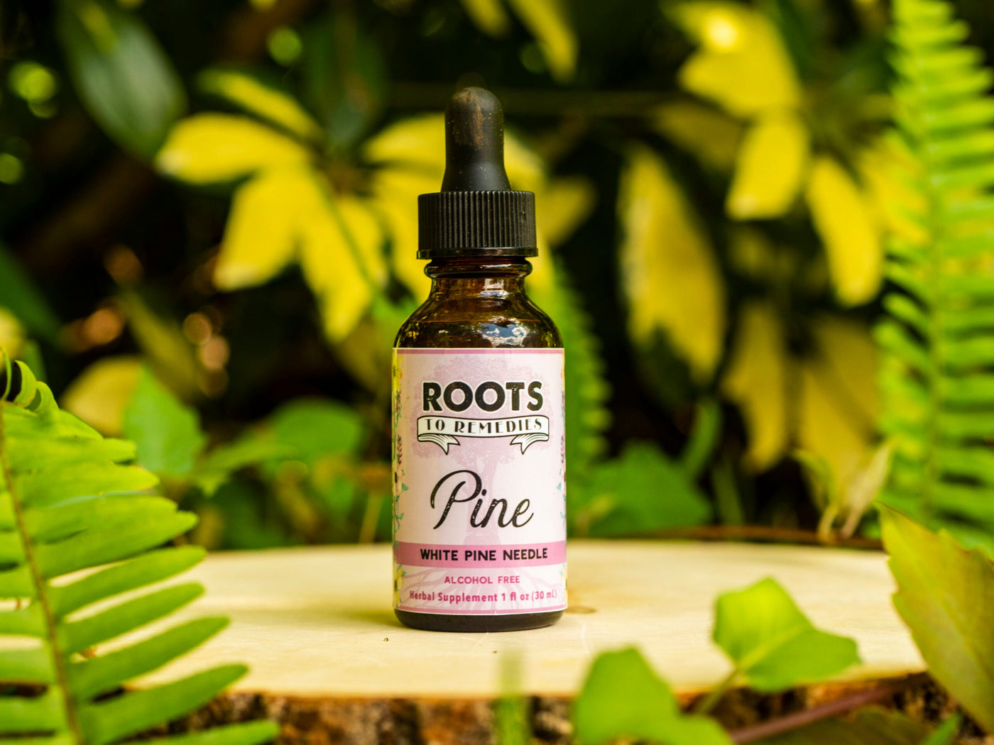 Pine needle herbal extract in 1 oz bottle