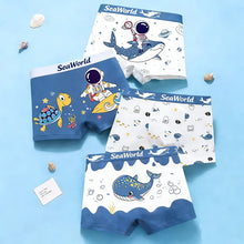 Boys Cotton Boxer Pack 4 Pcs – Ages 2–14-6