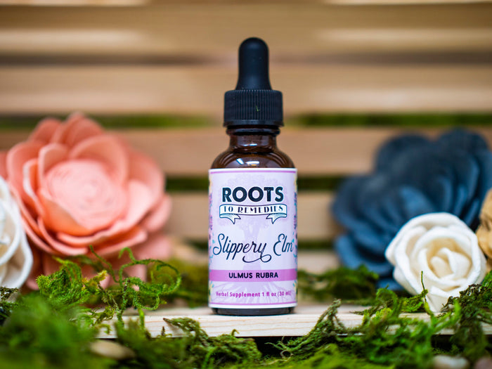 Slippery elm bark herbal extract 1 oz liquid drops bottle