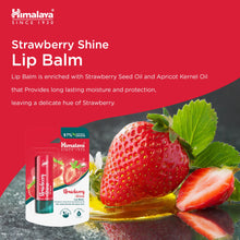 Himalaya Strawberry Shine Lip Balm 4.5g stick for dry lips