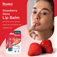 Himalaya Strawberry Shine Lip Balm 4.5g stick for dry lips