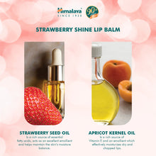 Himalaya Strawberry Gloss Lip Balm 10g tube for moisturising dry lips