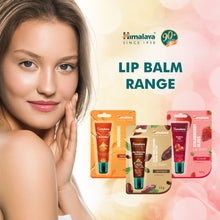 Himalaya Nourishing Lip Balm 10g tube for dry and chapped lips