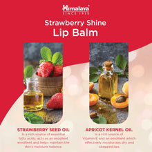 Himalaya Strawberry Shine Lip Balm 4.5g stick for dry lips