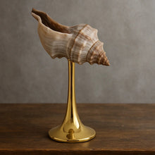 Natural conch stemmed wine glass with shell-inspired coastal design